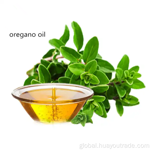 Olive Oil Pure Liquid Natural Oregano Oil 99% Price Feed Additive Supplier